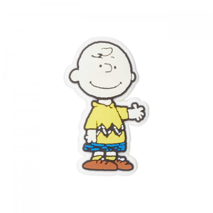 Snoopy Charlie Brown