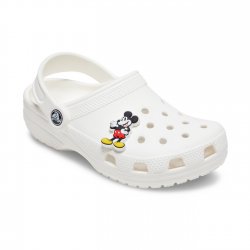 Disney Mickey Mouse