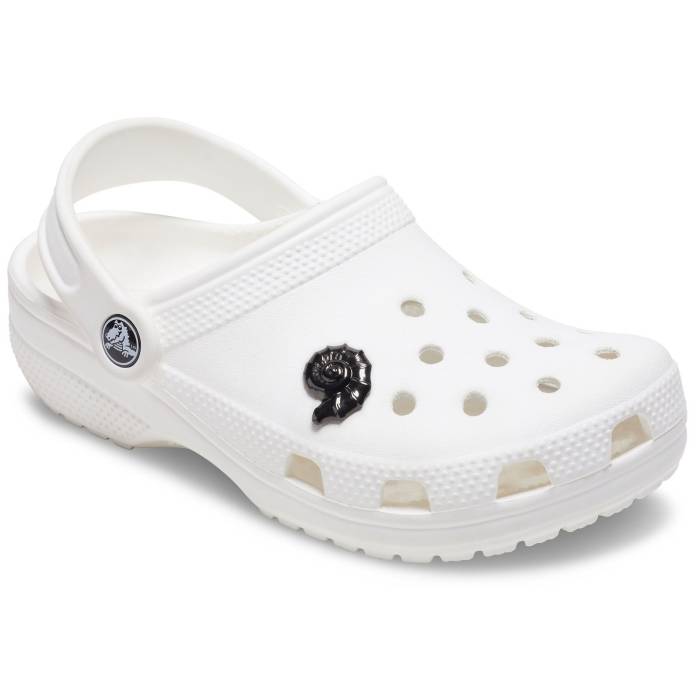 Concha remolino oscuro