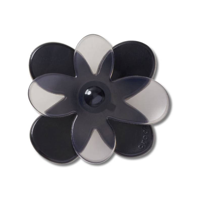Florecimiento de la flor negra 2