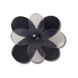 Florecimiento de la flor negra 2