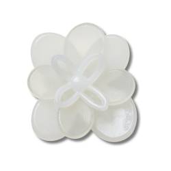 Flor blanca en flor 2