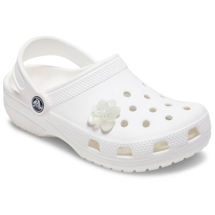 Flor blanca en flor 2