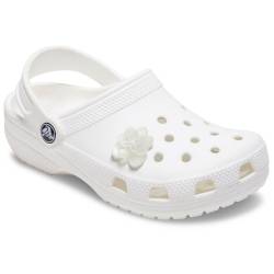 Flor blanca en flor 2