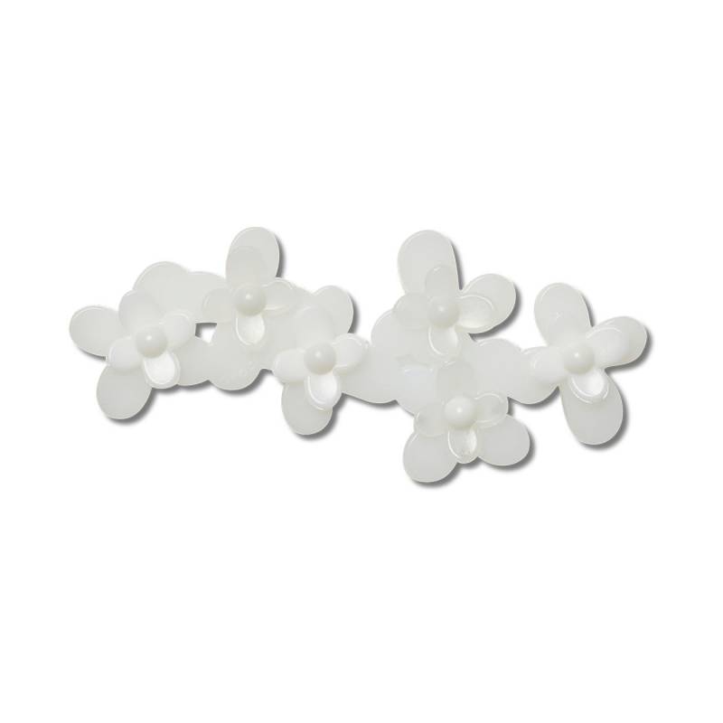 Flores blancas en flor