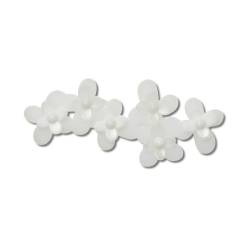 Flores blancas en flor