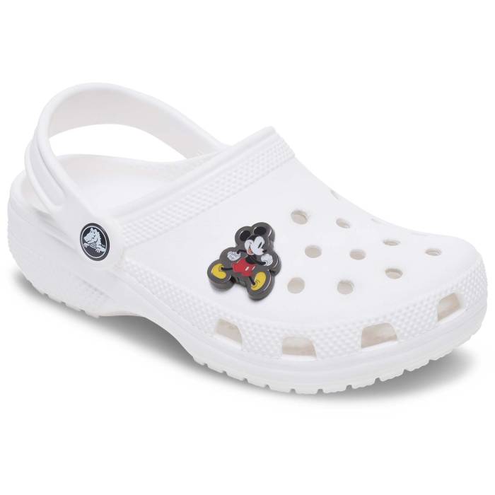 Mickey Elevated