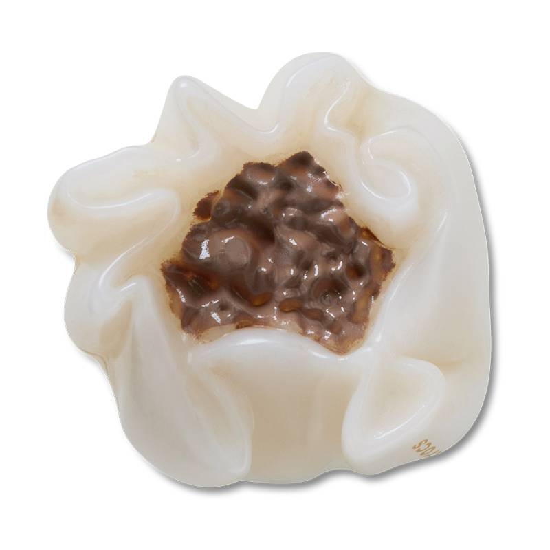 Realistic Shumai
