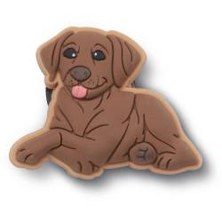 Cachorro Labrador marrón