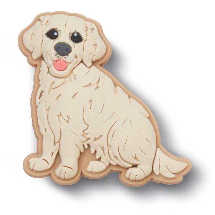 Cachorro Golden Retriever