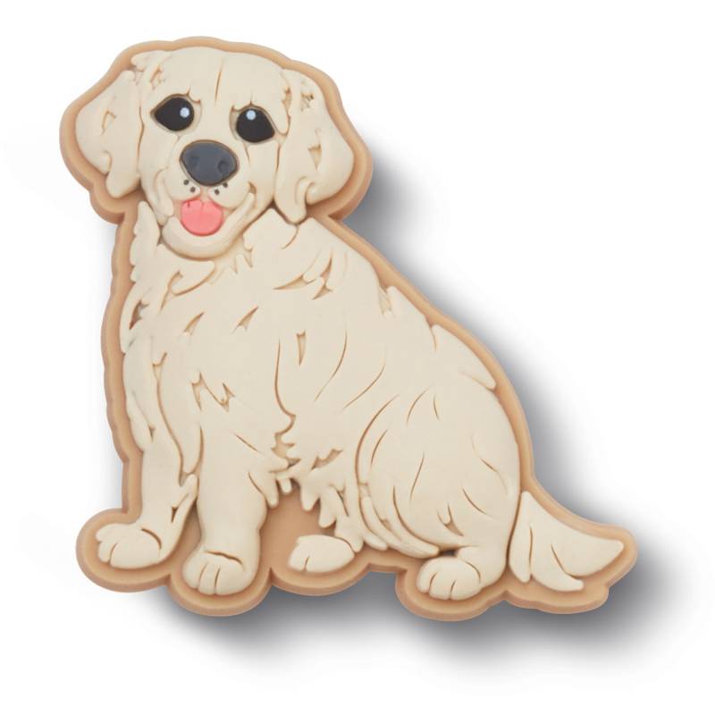 Cachorro Golden Retriever