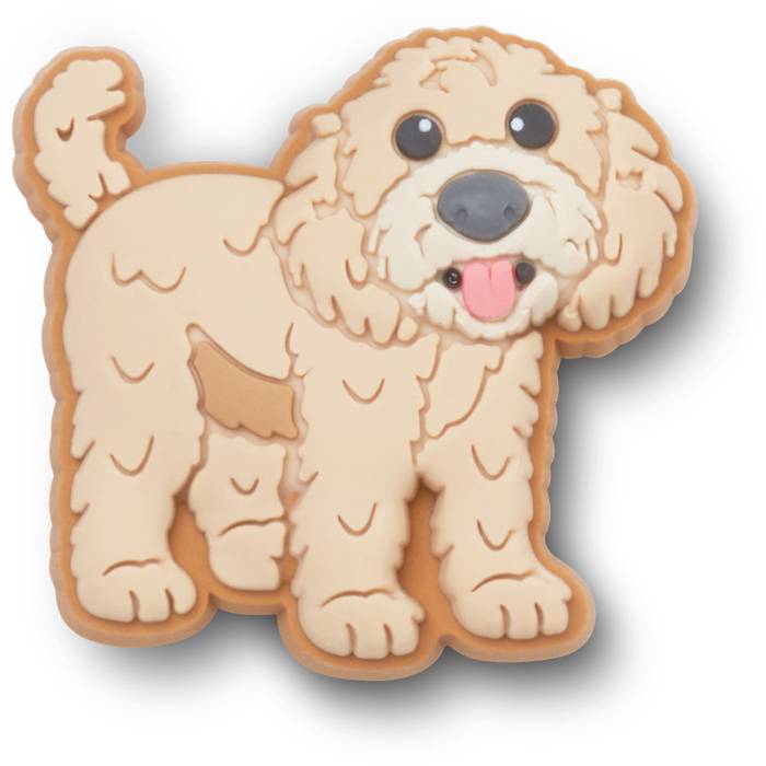 Cachorro Golden Doodle