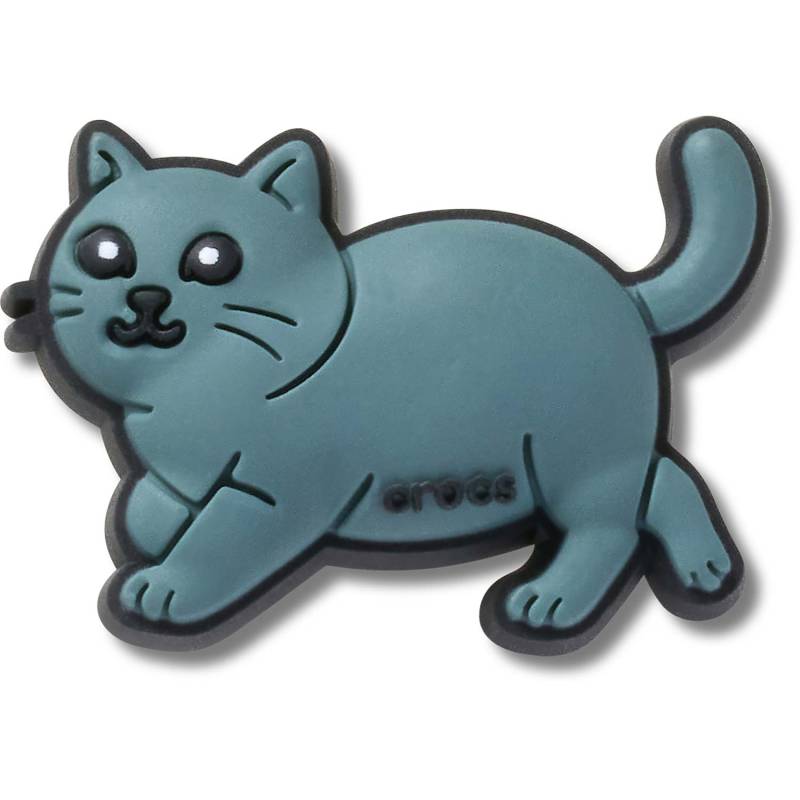 Gato British Shorthair