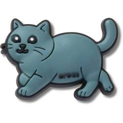 Gato British Shorthair