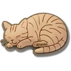 Gato atigrado