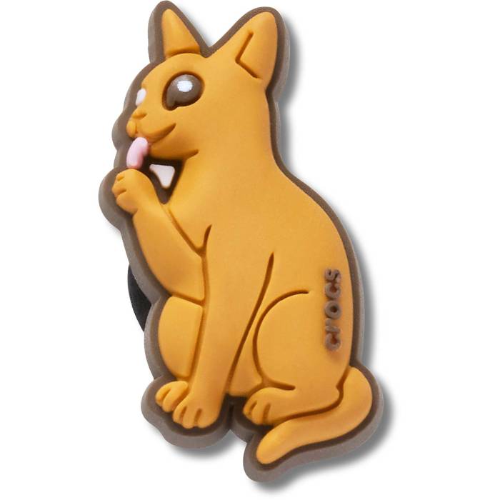 Gato Abisinio