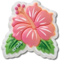 Hibisco tropical azul