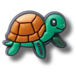 Tortuga mascota